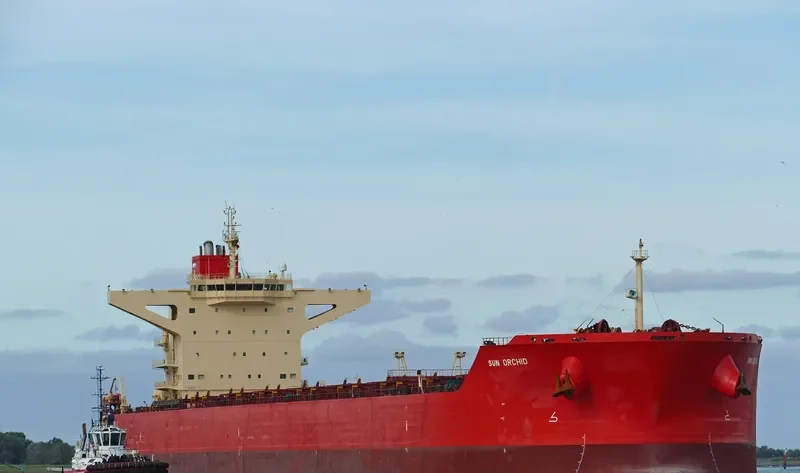 SUN ORCHID Bulk Carrier IMO 9468401 photo 5
