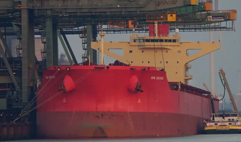 SUN ORCHID Bulk Carrier IMO 9468401 photo 9