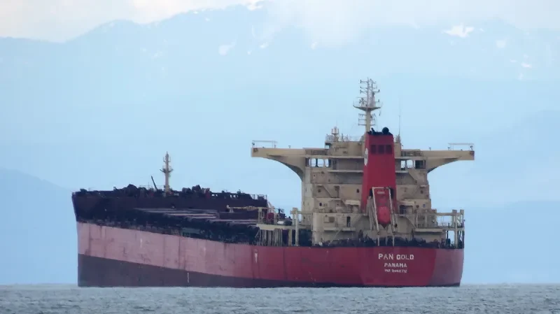 PAN GOLD Bulk Carrier IMO 9468712
