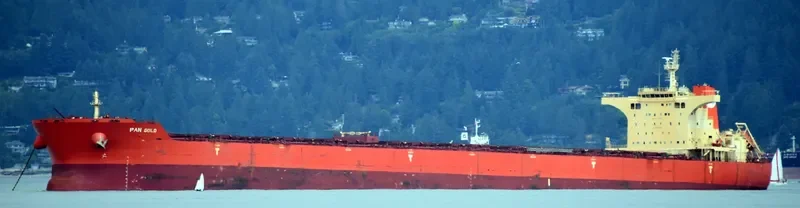 PAN GOLD Bulk Carrier IMO 9468712 photo 2