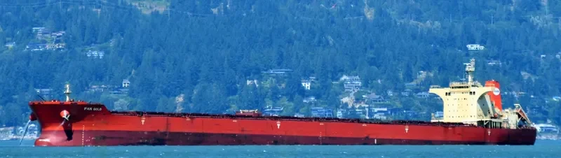 PAN GOLD Bulk Carrier IMO 9468712 photo 4