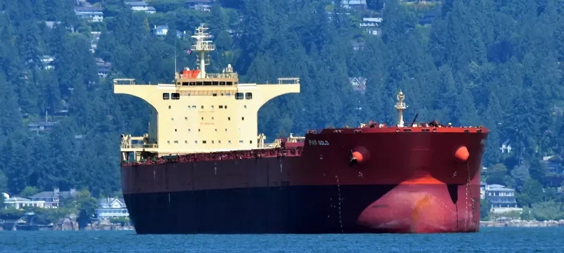 PAN GOLD Bulk Carrier IMO 9468712 photo 6
