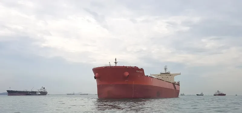 PAN HOPE Bulk Carrier IMO 9468724