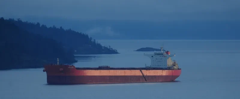 PAN HOPE Bulk Carrier IMO 9468724 photo 7