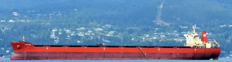 PAN IRIS Bulk Carrier IMO 9468736 photo 9