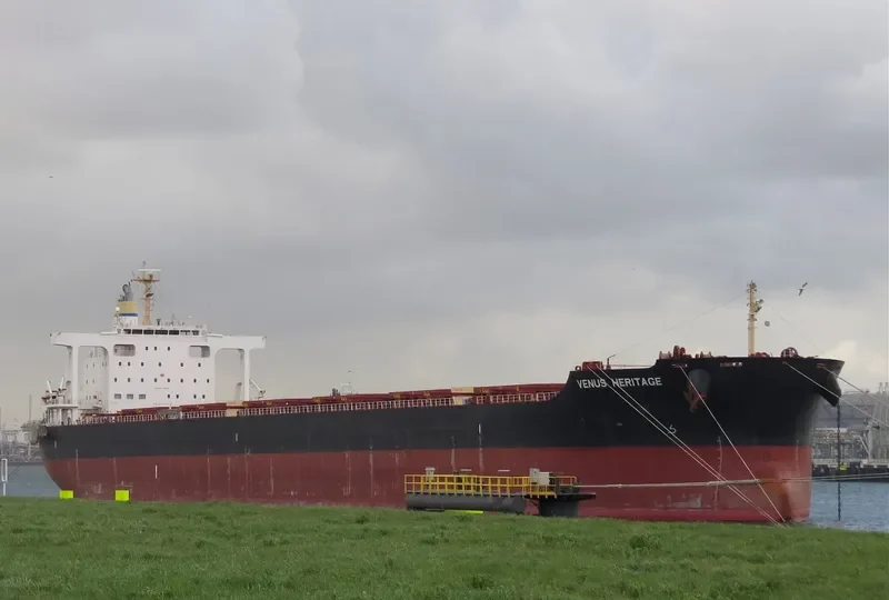 VENUS HERITAGE Bulk Carrier IMO 9468786 photo 2