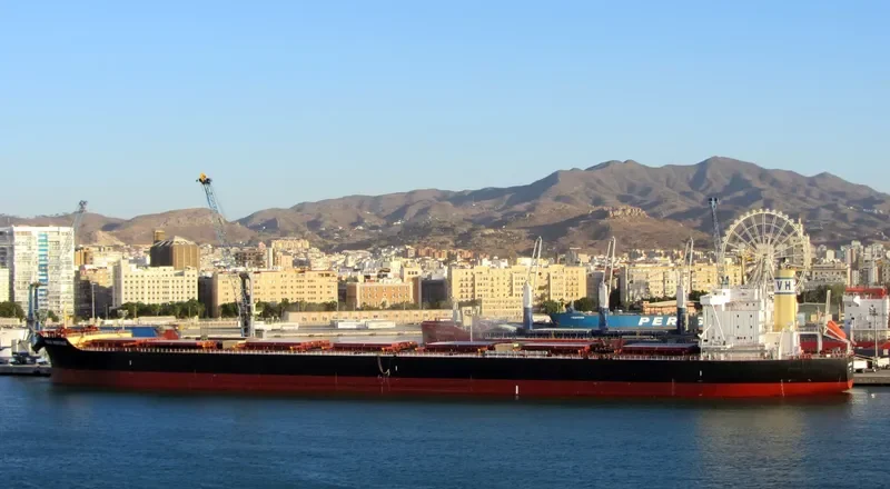 VENUS HERITAGE Bulk Carrier IMO 9468786 photo 3