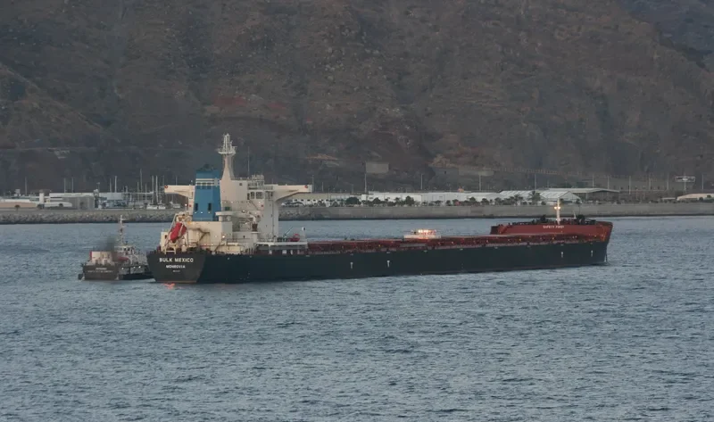 BULK MEXICO Bulk Carrier IMO 9469003
