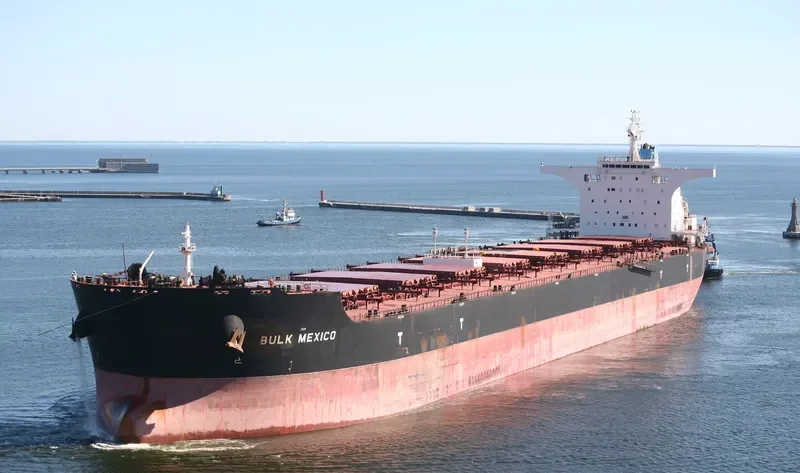 BULK MEXICO Bulk Carrier IMO 9469003 photo 6