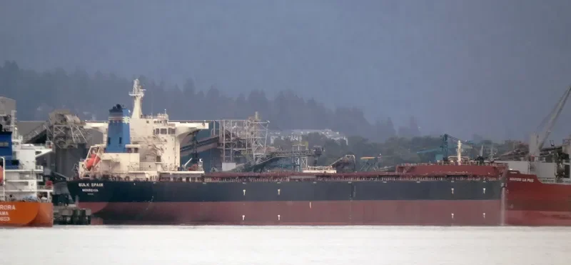 BULK SPAIN Bulk Carrier IMO 9469015 photo 6