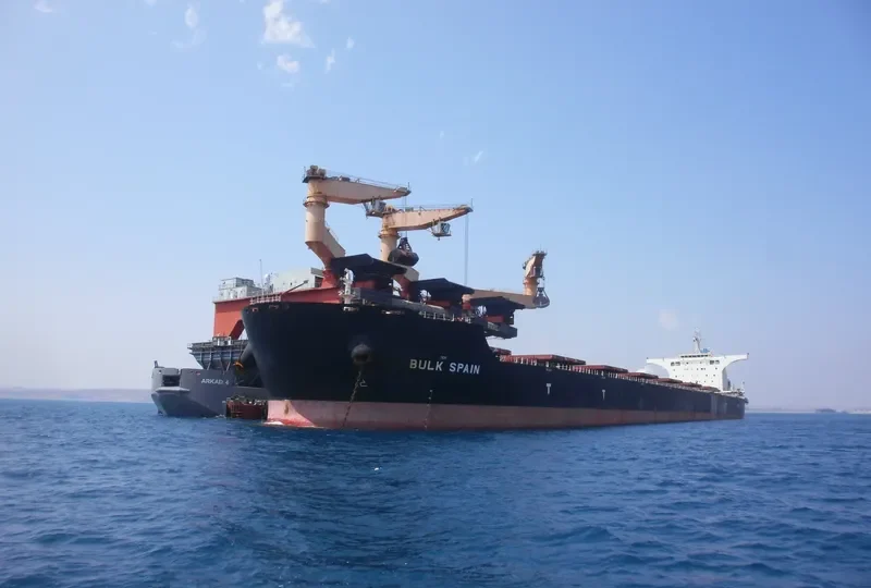 BULK SPAIN Bulk Carrier IMO 9469015 photo 7