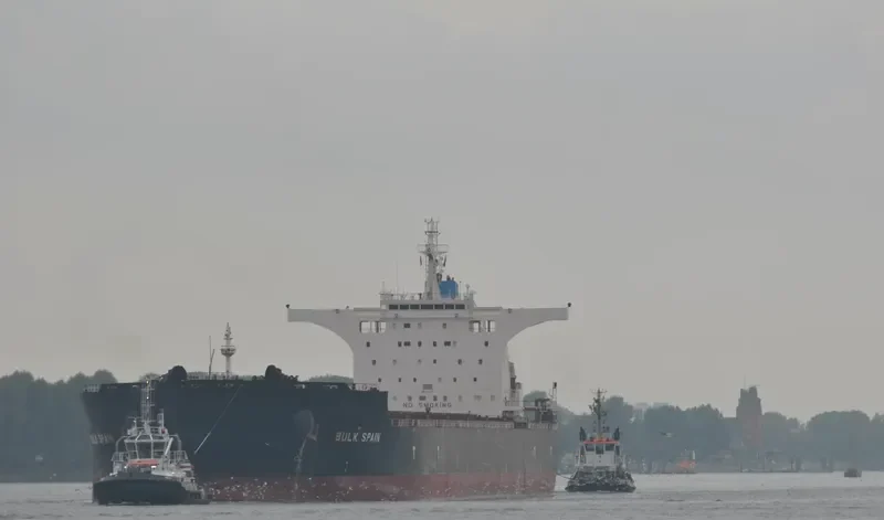 BULK SPAIN Bulk Carrier IMO 9469015 photo 10