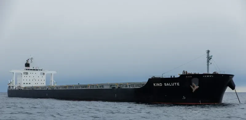 BEI DOU STAR Bulk Carrier IMO 9469182 photo 4