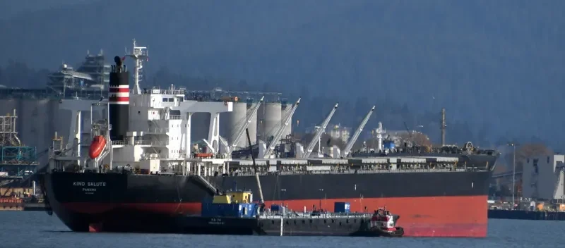 BEI DOU STAR Bulk Carrier IMO 9469182 photo 10