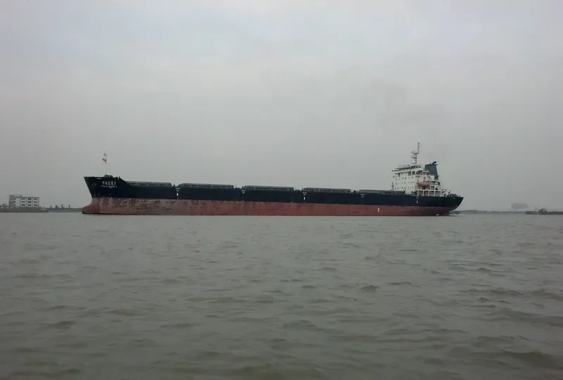 ZHONG HAI CHANG YUN 1 Bulk Carrier IMO 9469417