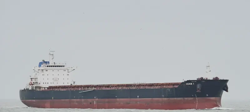 ADAM I Bulk Carrier IMO 9469508 photo 2