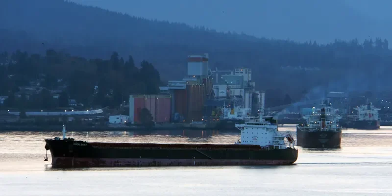 ADAM I Bulk Carrier IMO 9469508 photo 7