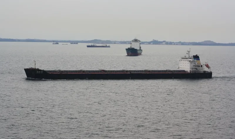CHANG XIN 66 Bulk Carrier IMO 9469522 photo 4
