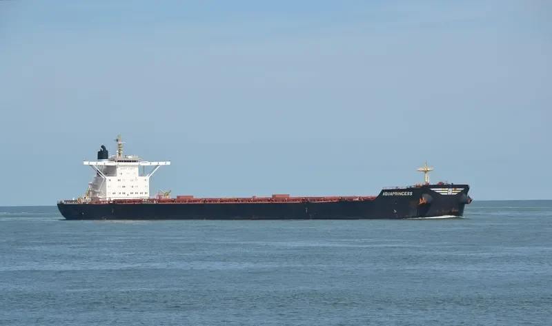 AQUAPRINCESS Bulk Carrier IMO 9469558 photo 3