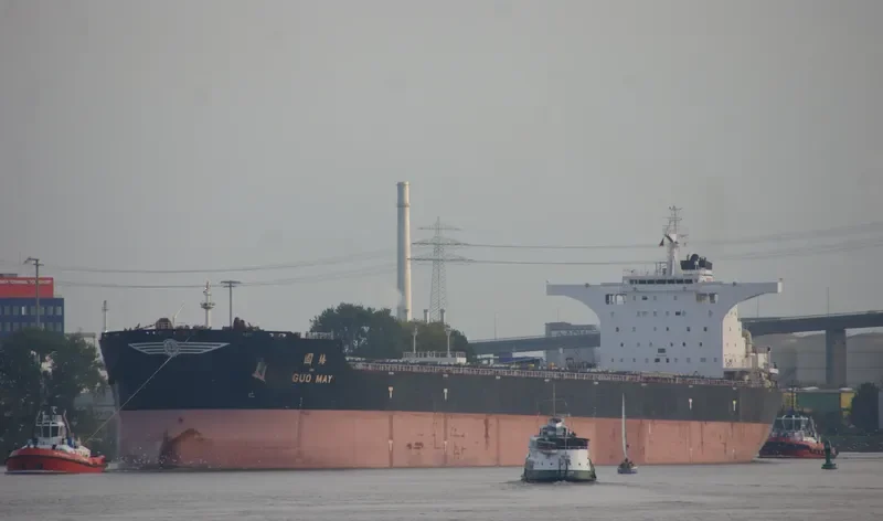 GUO MAY Bulk Carrier IMO 9469625 photo 6