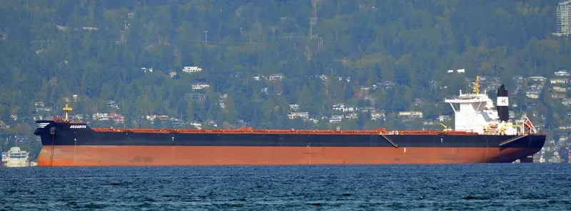 AQUADIVA Bulk Carrier IMO 9469675 photo 4