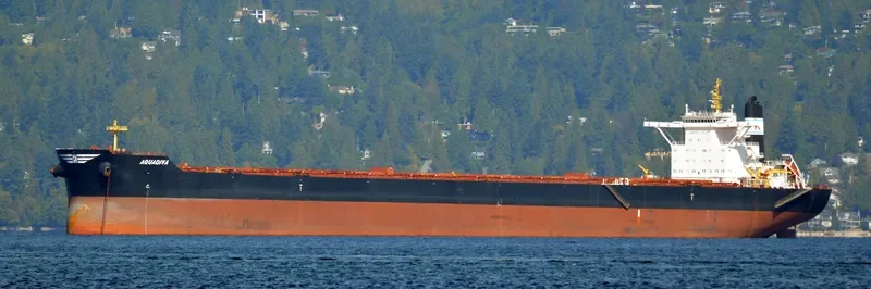 AQUADIVA Bulk Carrier IMO 9469675 photo 5