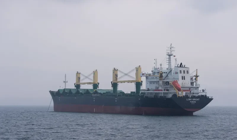 NILE CONFIDANTE Bulk Carrier IMO 9469833 photo 5