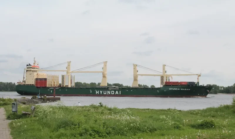 HYUNDAI MASAN General Cargo IMO 9469883 photo 8