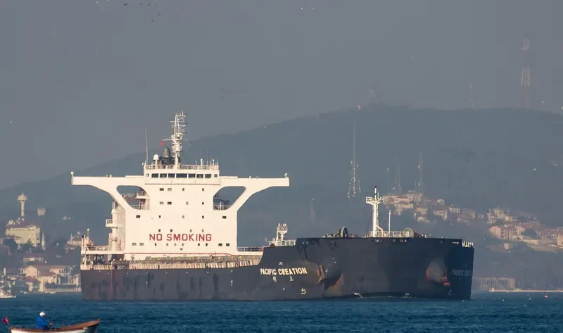 PACIFIC CREATION Bulk Carrier IMO 9469974 photo 6