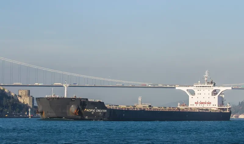 PACIFIC CREATION Bulk Carrier IMO 9469974 photo 8