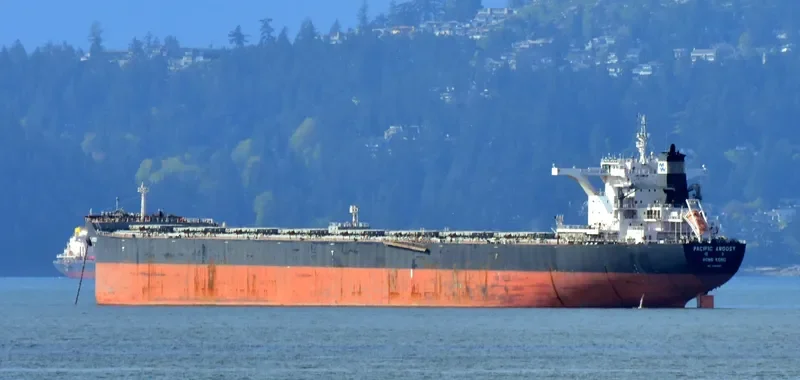PACIFIC ARGOSY Bulk Carrier IMO 9469986