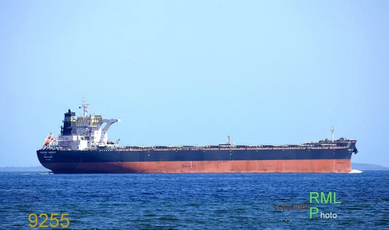 PACIFIC ARGOSY Bulk Carrier IMO 9469986 photo 3
