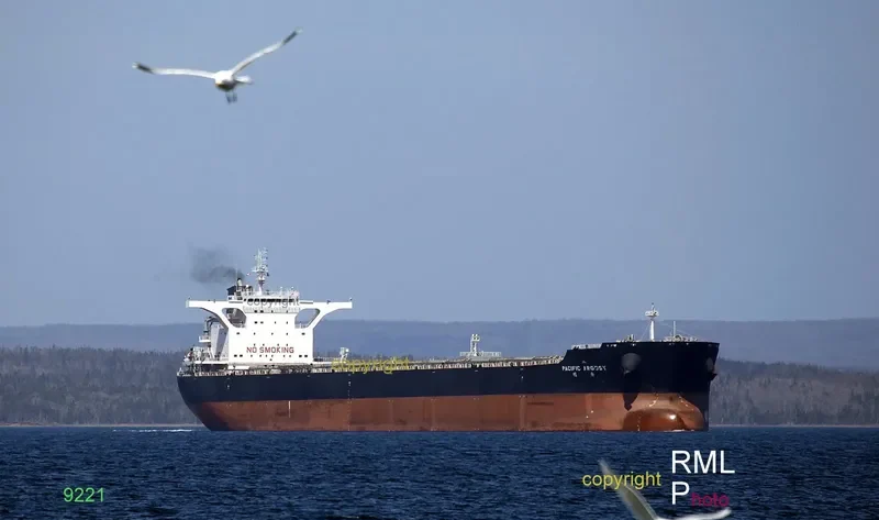 PACIFIC ARGOSY Bulk Carrier IMO 9469986 photo 5