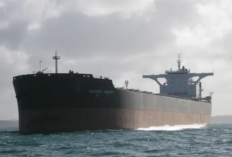 PACIFIC ARGOSY Bulk Carrier IMO 9469986 photo 6