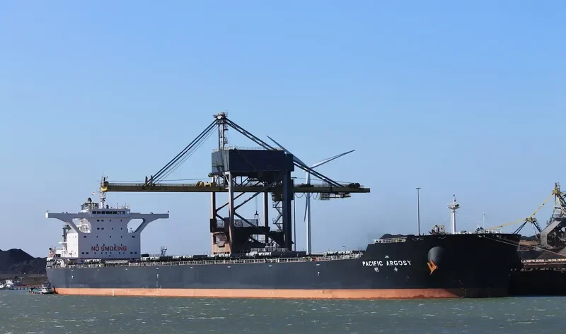 PACIFIC ARGOSY Bulk Carrier IMO 9469986 photo 8