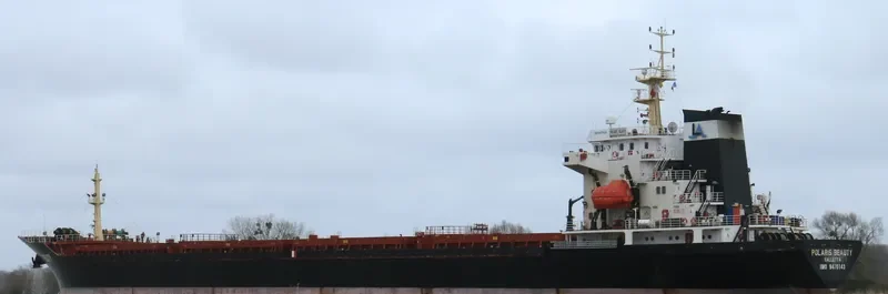 LODESTAR Bulk Carrier IMO 9470143 photo 9