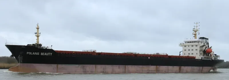 LODESTAR Bulk Carrier IMO 9470143 photo 10