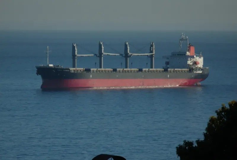 BASIC PIONEER Bulk Carrier IMO 9470296 photo 6
