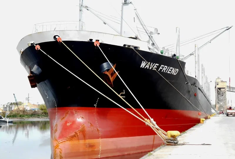 WAVE FRIEND Bulk Carrier IMO 9470313 photo 9