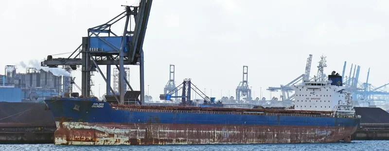 GOLDEN DIAMOND Bulk Carrier IMO 9470387 photo 4