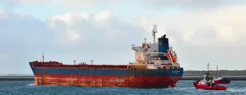 GOLDEN DIAMOND Bulk Carrier IMO 9470387 photo 5