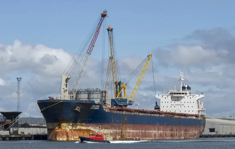 GOLDEN DIAMOND Bulk Carrier IMO 9470387 photo 6