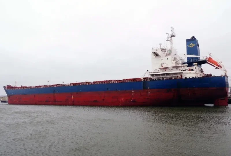 GOLDEN RUBY Bulk Carrier IMO 9470399 photo 6
