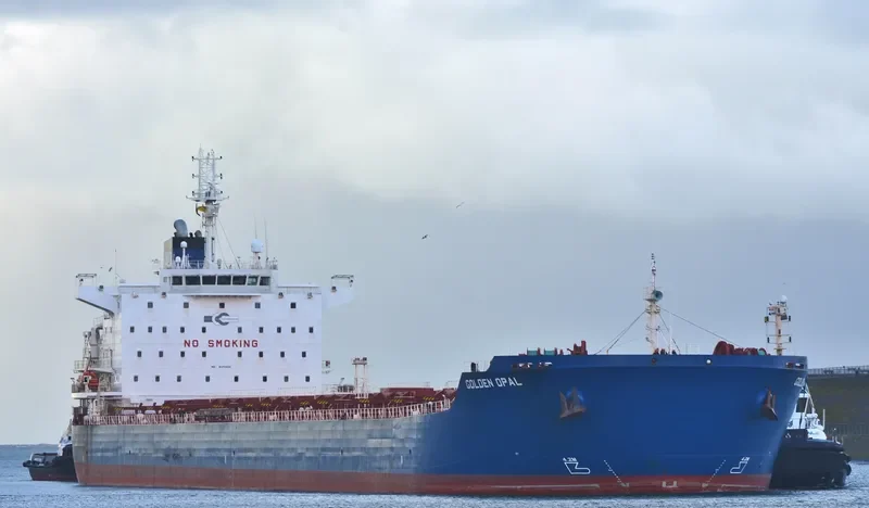 GOLDEN OPAL Bulk Carrier IMO 9470404 photo 3