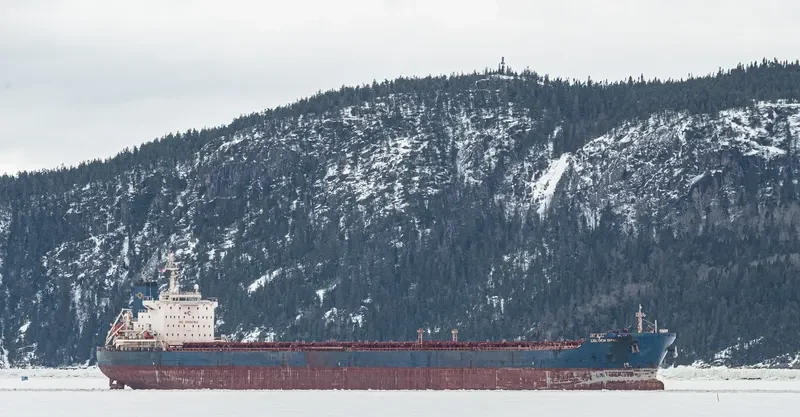 GOLDEN OPAL Bulk Carrier IMO 9470404 photo 5