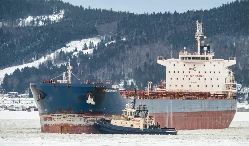 GOLDEN OPAL Bulk Carrier IMO 9470404 photo 6