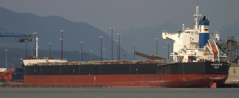VITAOCEAN Bulk Carrier IMO 9470492 photo 4