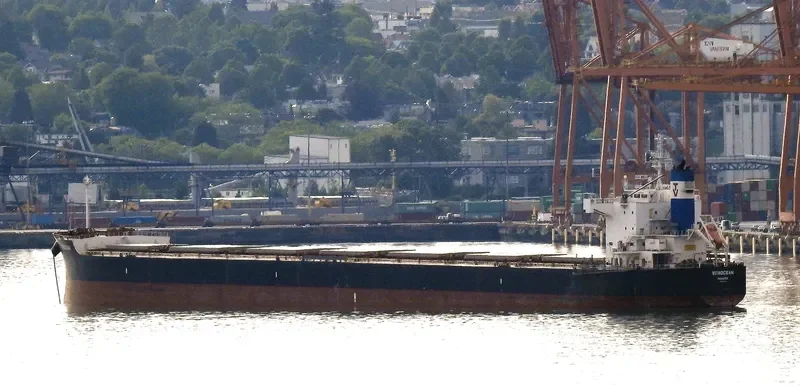 VITAOCEAN Bulk Carrier IMO 9470492 photo 6