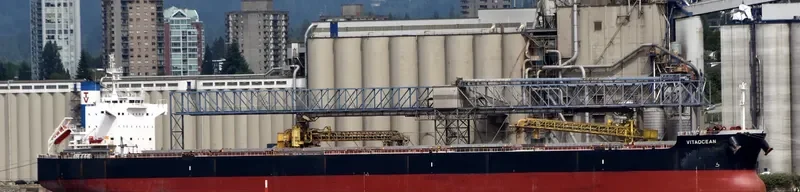 VITAOCEAN Bulk Carrier IMO 9470492 photo 8