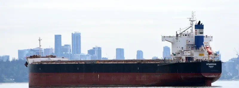 VITAOCEAN Bulk Carrier IMO 9470492 photo 10